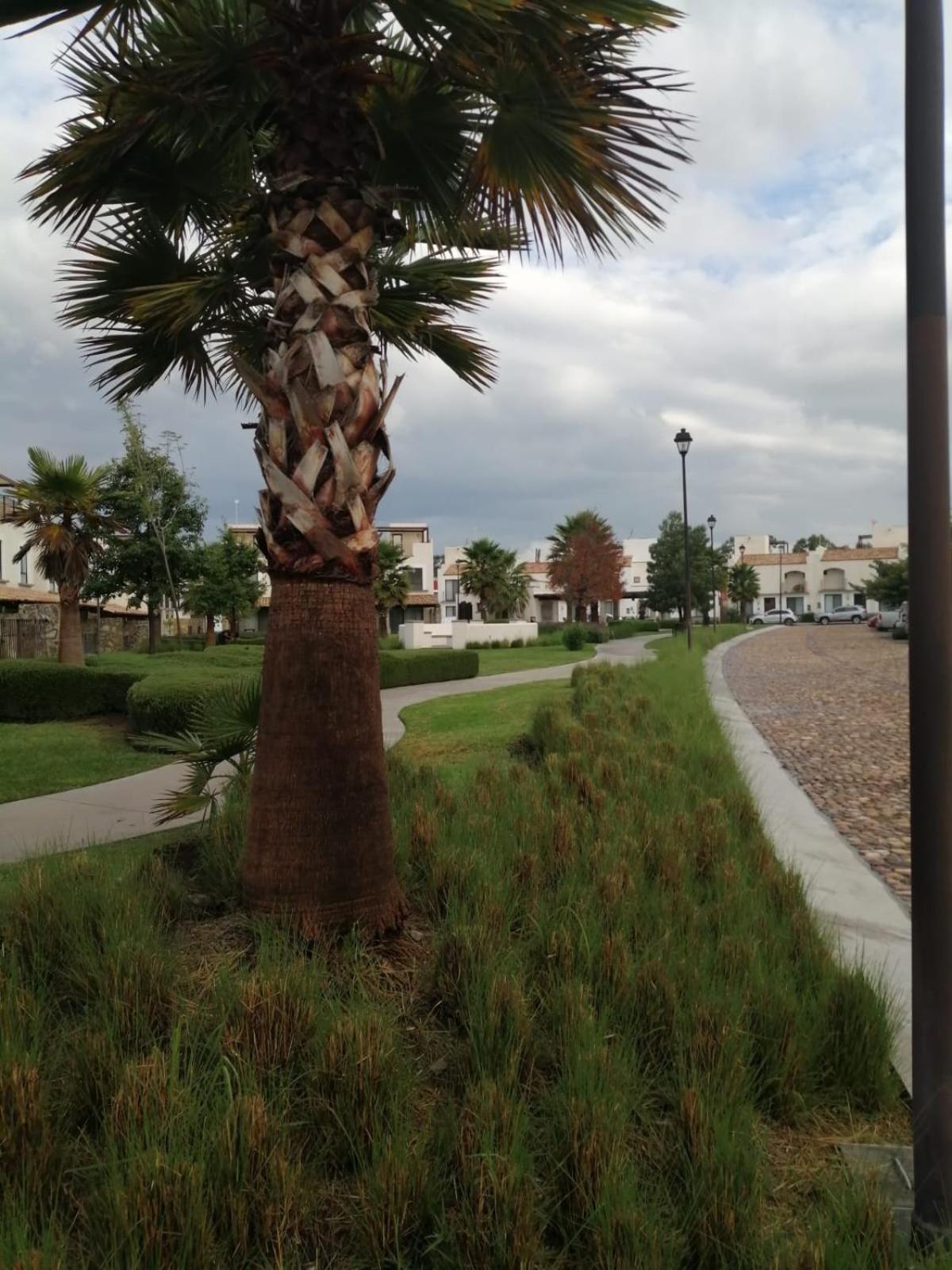 Residencial En * San Miguel de Allende